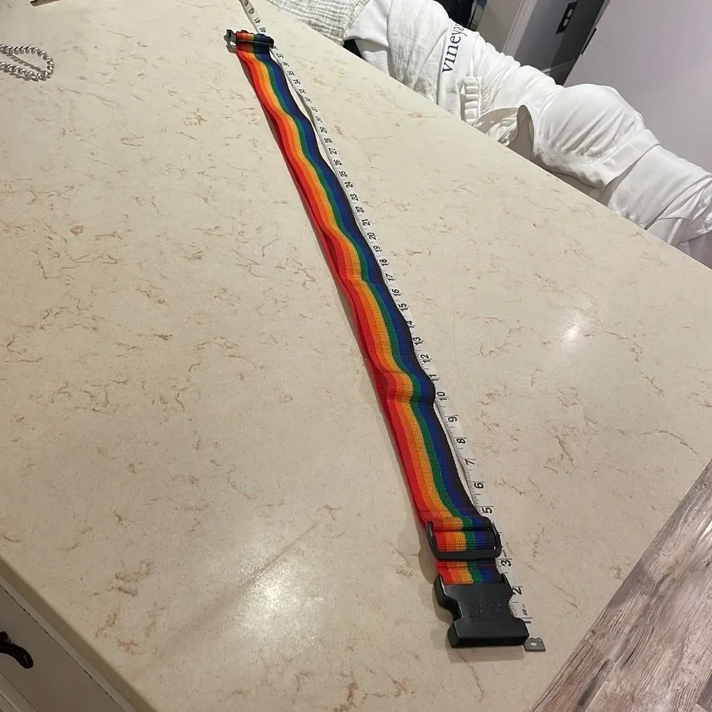 Pride multicolored buckle belt strap
